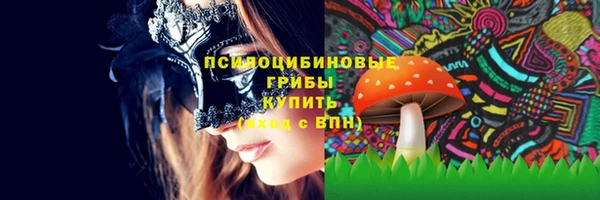 кокс Богородицк