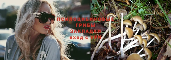 кокс Богородицк