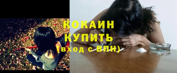 кокс Богородицк